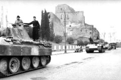 Panther_number_215_Italy