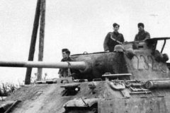 Panther_number_232