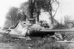 Panther_number_312
