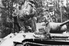 Panther_panzer_
