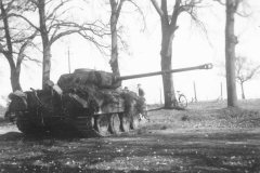 Panther_rhine_1945