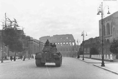 Panther_rome_44