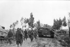 Panther_tank_and_Elefant_Italy_1944