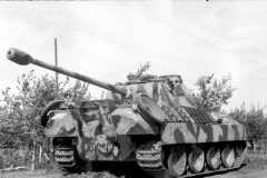 Panther_tank_camouflage_east_front