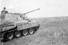 Panther_tank_number_435