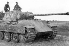 Panther_tank_number_613