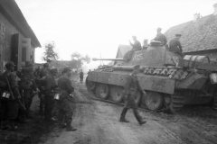 Panther_tank_number_815
