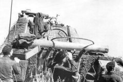 Panther_tank_with_zimmerit