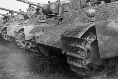 Panthers_116_div