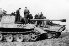Panthers_Ausf_D