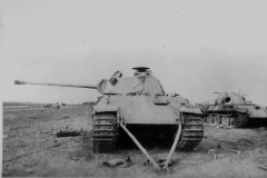 Panthers_Ausf_D_Panzer_Regiment_39