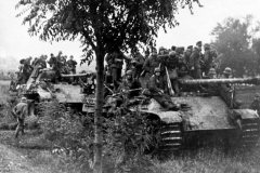 Panthers_Hungary_1944