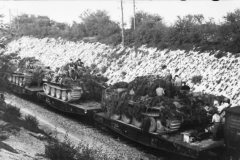 Panthers_Panzertransport_France_1944_2