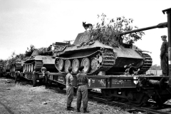 Panthers_wiking_ju44