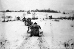 Panthers_winter