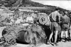Pantherturm_Italy_1944_2