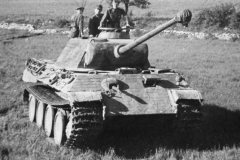 Panzer_V_Panther_Das_Reich_division_France_1944