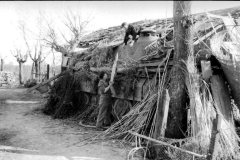 Panzer_V_Panther_Italy