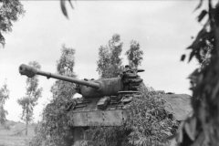 Panzer_V_Panther_Italy_3