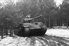 Panzer_V_Panther_ausf_D_east_front_winter