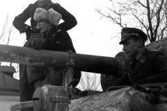 Panzer_V_Panther_with_Zimmerit