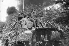 Panzerkampfwagen_V_Panther