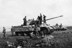 Panzerkampfwagen_V_Panther_number_442