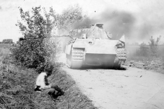 captured_Panther_ost