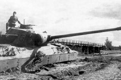 destroyed_Panther_Ausf_D_number_745_1943