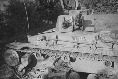Panzer_35t_701_Pz_Rgt_11_1940