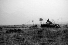 Panzer-38t-R01