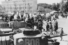 Panzer_38r_tank_B06_B01