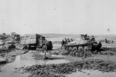 Panzer_38t_Eastern_Front
