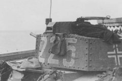 Panzer_38t_number_225_russia