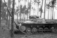 Panzer_I_Poland_1939_622