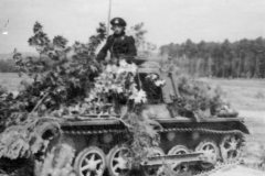 Panzer_I_befehl_camouflaged