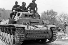 Captured_Panzer_II_Africa_2