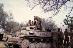 Captured_Panzer_II_Africa_3