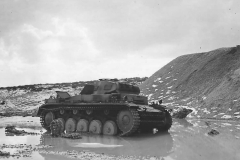 Knocked-Out_German_PzKpfw_II_Tank_in_Tunisia_1943