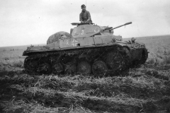 Panzer_II_11div