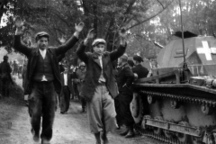 Panzer_II_4._Panzer_Regiment