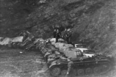 Panzer_II_601