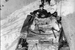 Panzer_II_Ausf_F_mar43_ost