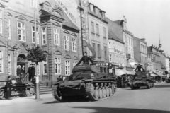 Panzer_II_and_I_Denmark