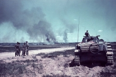 Panzer_II_color_1942