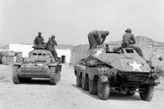 Panzer_II_sdkfz_233