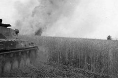 Panzerkampfwagen_II