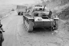knocked_out_Panzer_II_tank