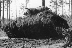 Camouflaged_Panzer_III