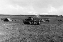 Panzer_3_Of_8_Pz_Reg_Dak_2